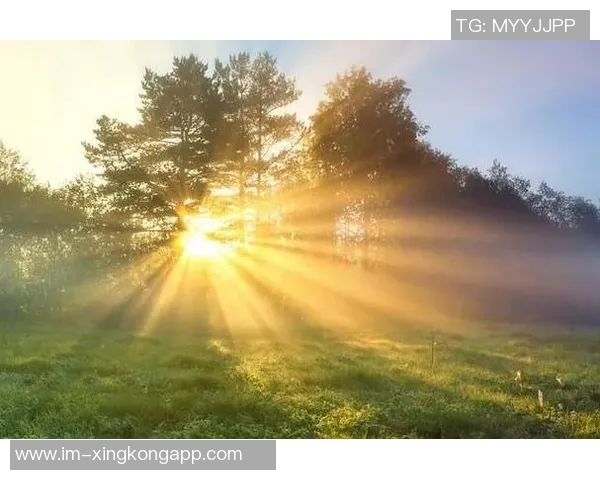 阳光明媚的训练日弗兰克分享他的积极心态和感受